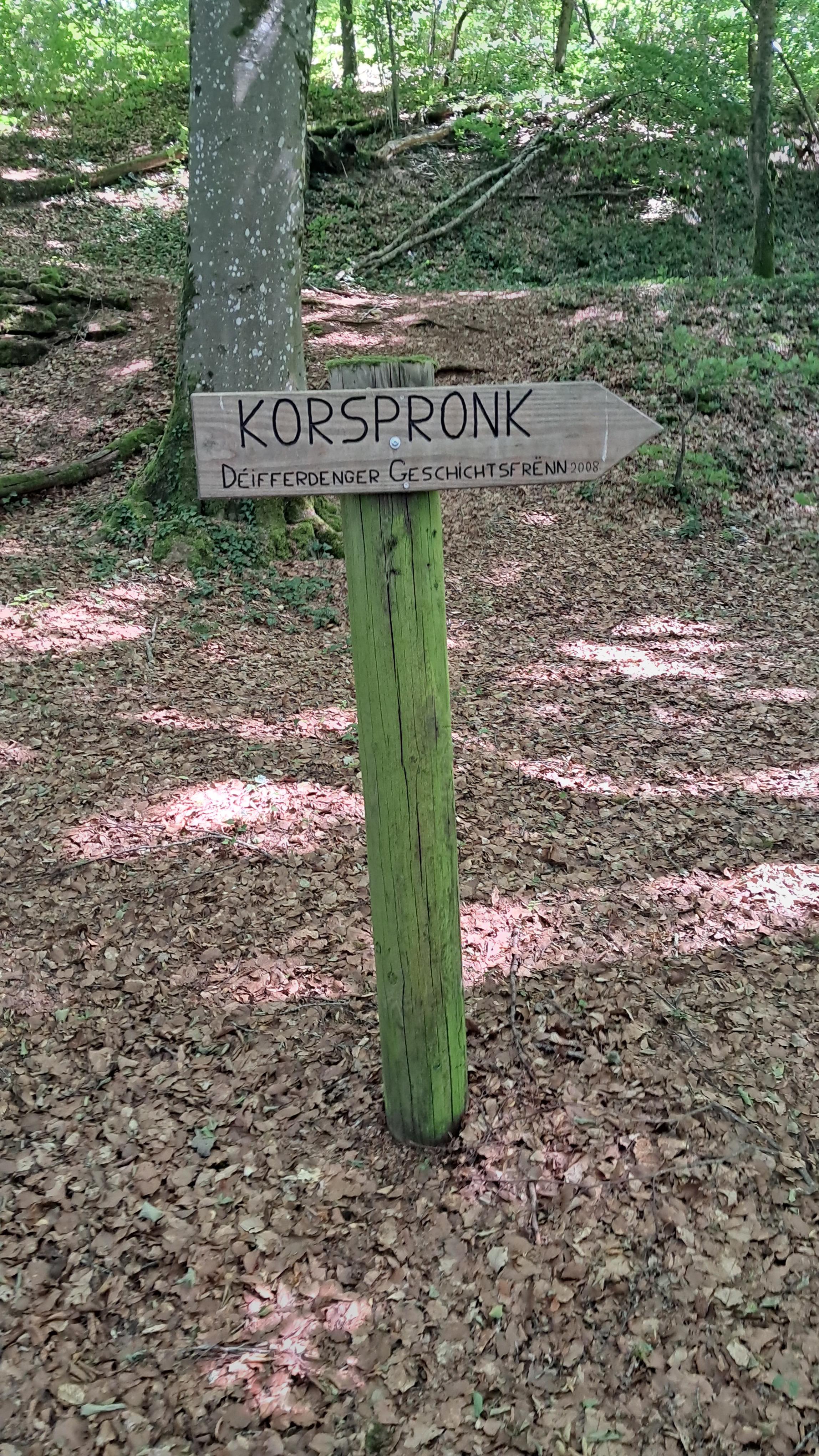 A wooden signpost stands in a leafy forest, pointing to the right towards "Korspronk", with "Déifferdenger Geschichtsfrënn 2008" written below.