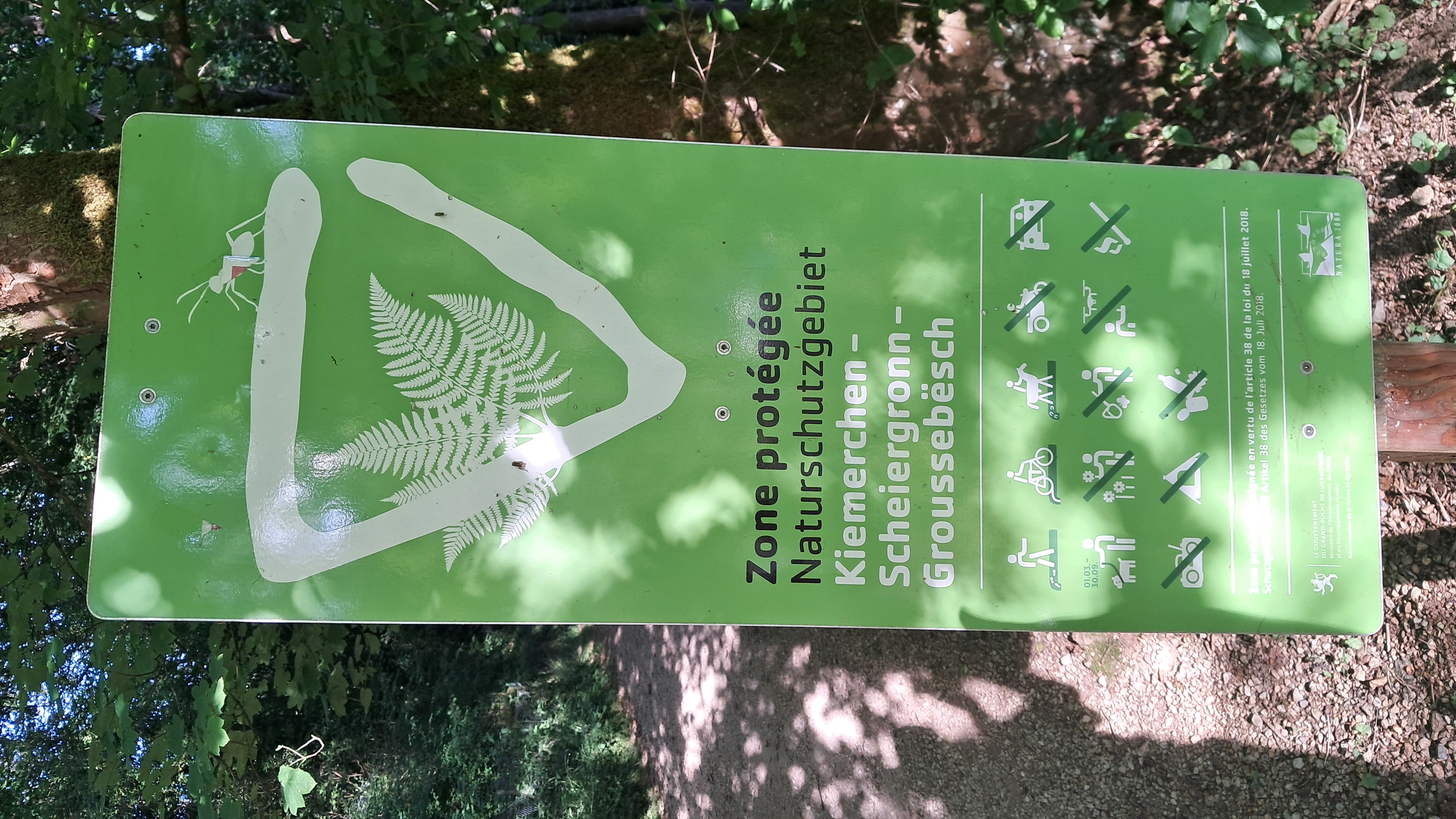Green sign marking the protected area "Kiemerchen – Scheiergronn – Groussebësch" with a stylized ant and fern above pictograms showing permitted and prohibited activities.