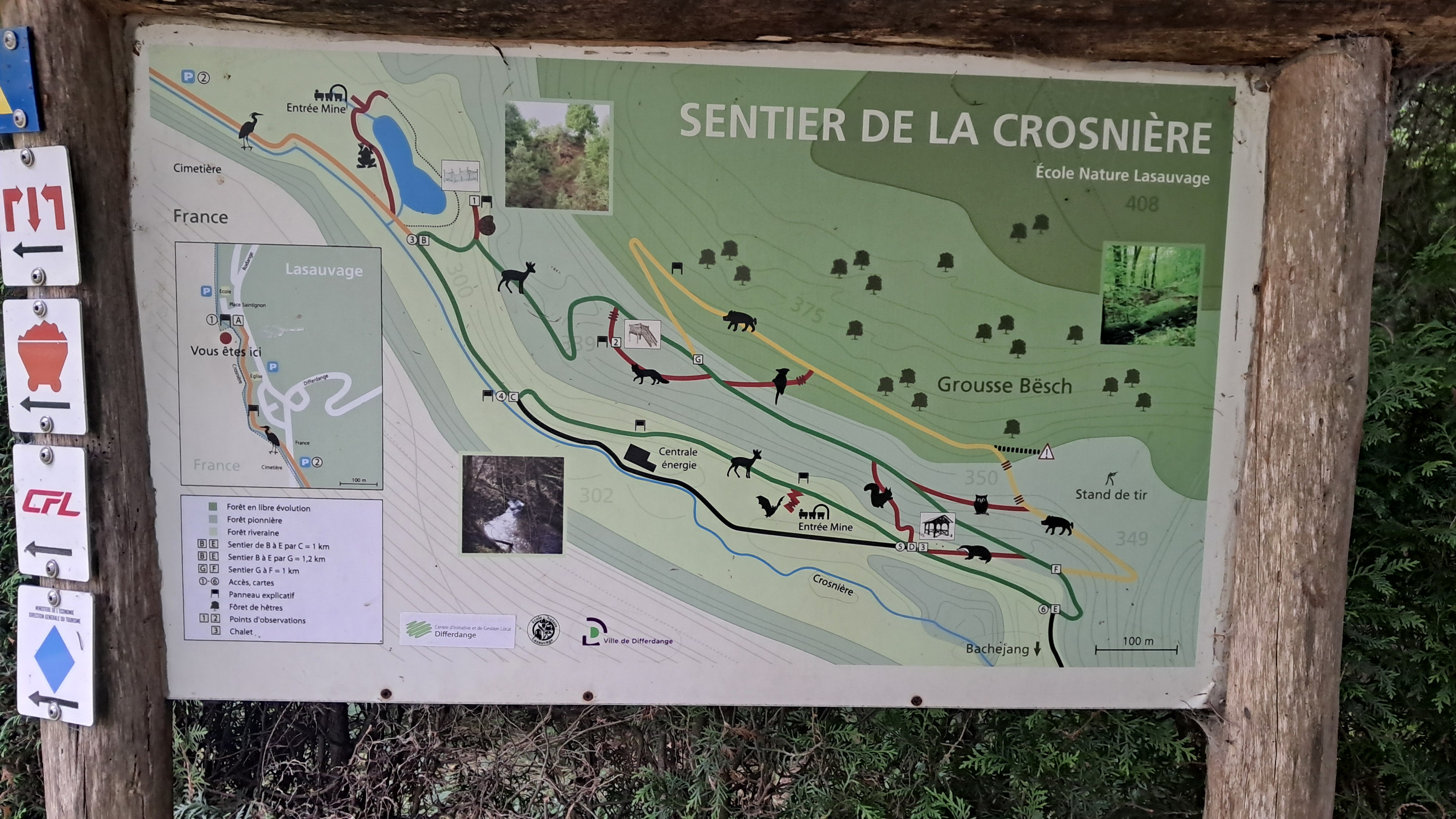 Trail map titled “Sentier de la Crosnière,” showing several coloured routes through the forest around Lasauvage, the Crosnière stream, mine entrances, observation points and animal symbols, with additional waymark signs attached to the left post.